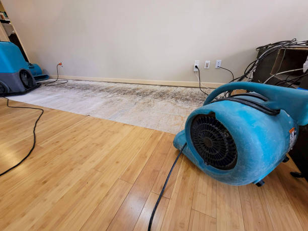 Professional Basement Flood Cleanup technician working in Ellerslie, GA
